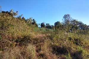 Terreno com 9483m², no bairro São Caetano em Caxias do Sul para Comprar