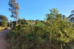 Terreno com 9483m², no bairro São Caetano em Caxias do Sul para Comprar
