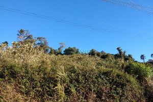 Terreno com 9483m², no bairro São Caetano em Caxias do Sul para Comprar