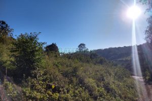 Terreno com 9483m², no bairro São Caetano em Caxias do Sul para Comprar