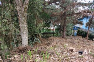 Terreno com 681m², no bairro Petrópolis em Caxias do Sul para Comprar