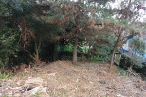 Terreno com 681m², no bairro Petrópolis em Caxias do Sul para Comprar