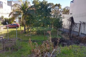 Casa com 200m², 3 dormitórios, 1 vaga, no bairro Santa Catarina em Caxias do Sul para Comprar