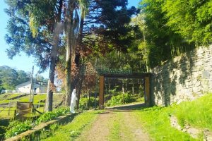 Pavilhão com 5220m², no bairro Ana Rech em Caxias do Sul para Comprar