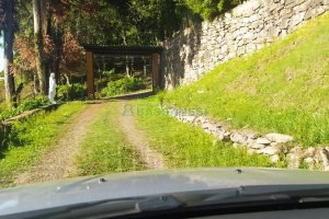 Pavilhão com 5220m², no bairro Ana Rech em Caxias do Sul para Comprar