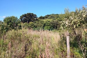 Terreno, no bairro Fatima em Caxias do Sul para Comprar