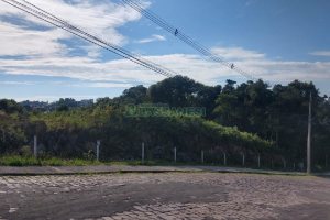 Terreno com 6021m², no bairro Santa Catarina em Caxias do Sul para Comprar
