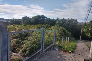 Terreno com 6021m², no bairro Santa Catarina em Caxias do Sul para Comprar