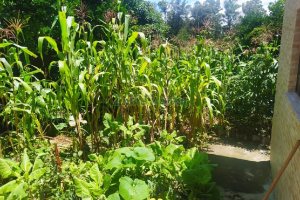 Casa com 143m², 3 dormitórios, 2 vagas, no bairro Desvio Rizzo em Caxias do Sul para Comprar