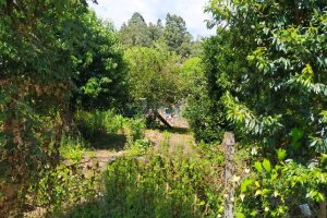 Terreno com 360m², no bairro Cidade Nova em Caxias do Sul para Alugar
