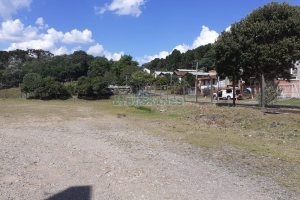 Terreno com 25000m², no bairro Pedancino em Caxias do Sul para Alugar