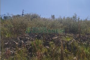 Terreno, no bairro São Giácomo em Caxias do Sul para Comprar