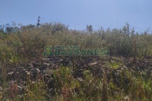 Terreno, no bairro São Giácomo em Caxias do Sul para Comprar