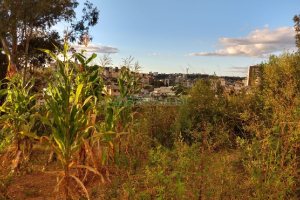 Terreno, no bairro Marechal Floriano em Caxias do Sul para Comprar
