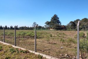 Terreno, no bairro Industrial em Caxias do Sul para Comprar