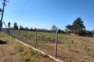 Terreno, no bairro Industrial em Caxias do Sul para Comprar