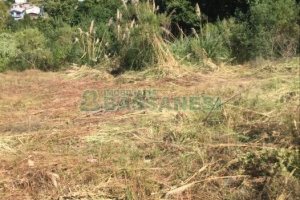 Terreno, no bairro Nossa Senhora das Graças em Caxias do Sul para Comprar