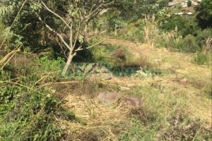 Terreno, no bairro Nossa Senhora das Graças em Caxias do Sul para Comprar
