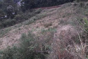 Terreno, no bairro Centro em Flores da Cunha para Comprar