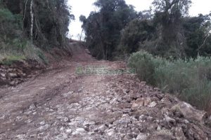 Terreno, no bairro Centro em Flores da Cunha para Comprar