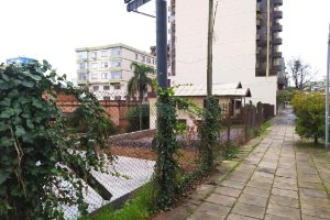 Terreno com 1276m², no bairro São Pelegrino em Caxias do Sul para Alugar