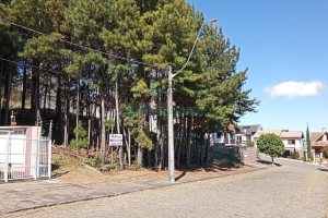 Terreno, no bairro Kayser em Caxias do Sul para Comprar