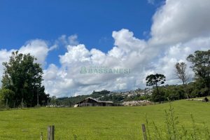 Terreno com 67996m², no bairro São Ciro em Caxias do Sul para Comprar