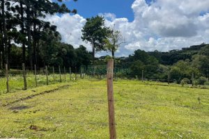 Terreno com 67996m², no bairro São Ciro em Caxias do Sul para Comprar