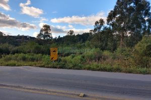 Terreno com 67996m², no bairro São Ciro em Caxias do Sul para Comprar