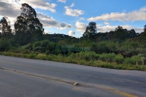 Terreno com 67996m², no bairro São Ciro em Caxias do Sul para Comprar
