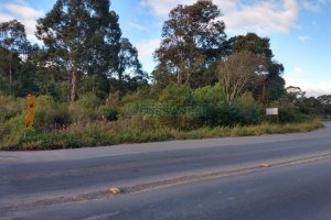 Terreno com 67996m², no bairro São Ciro em Caxias do Sul para Comprar