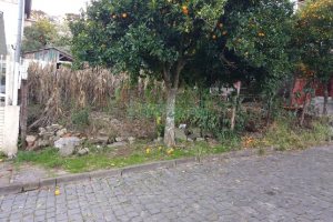 Terreno, no bairro São José em Caxias do Sul para Comprar