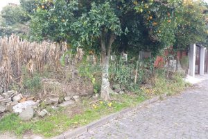 Terreno, no bairro São José em Caxias do Sul para Comprar