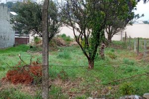Terreno com 387m², no bairro Panazzolo em Caxias do Sul para Comprar