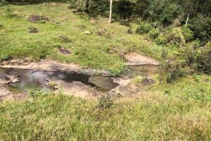 Chácara, no bairro Vila Seca em Caxias do Sul para Comprar