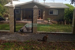 Chácara com 277m², 4 dormitórios, 2 vagas, no bairro Pedancino em Caxias do Sul para Comprar