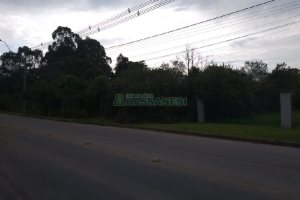Terreno com 20349m², no bairro São Virgílio em Caxias do Sul para Comprar