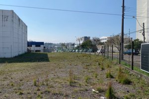 Terreno com 1723m², no bairro Cinqüentenário em Caxias do Sul para Alugar