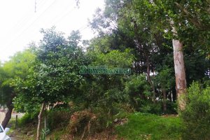 Terreno, no bairro Sanvitto em Caxias do Sul para Comprar