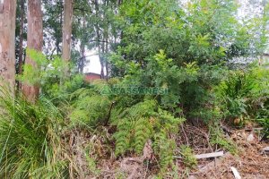 Terreno, no bairro Sanvitto em Caxias do Sul para Comprar