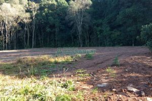 Chácara, no bairro Parada Cristal em Caxias do Sul para Comprar