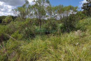 Terreno, no bairro Monte Bérico em Caxias do Sul para Comprar