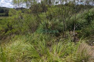 Terreno, no bairro Monte Bérico em Caxias do Sul para Comprar