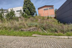 Terreno com 360m², no bairro Sanvitto em Caxias do Sul para Comprar