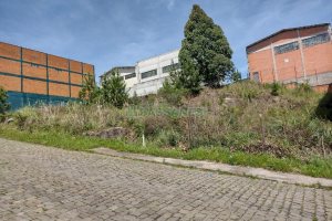 Terreno com 360m², no bairro Sanvitto em Caxias do Sul para Comprar