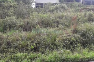 Terreno, no bairro Cruzeiro em Caxias do Sul para Comprar