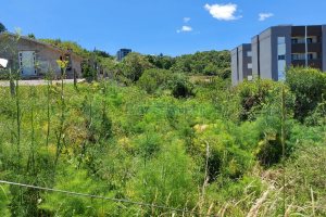 Terreno, no bairro Nossa Senhora das Graças em Caxias do Sul para Comprar