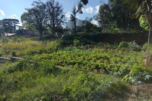 Terreno, no bairro Bela Vista em Caxias do Sul para Comprar
