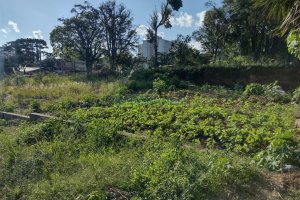 Terreno, no bairro Bela Vista em Caxias do Sul para Comprar