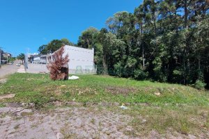 Terreno, no bairro Ana Rech em Caxias do Sul para Comprar